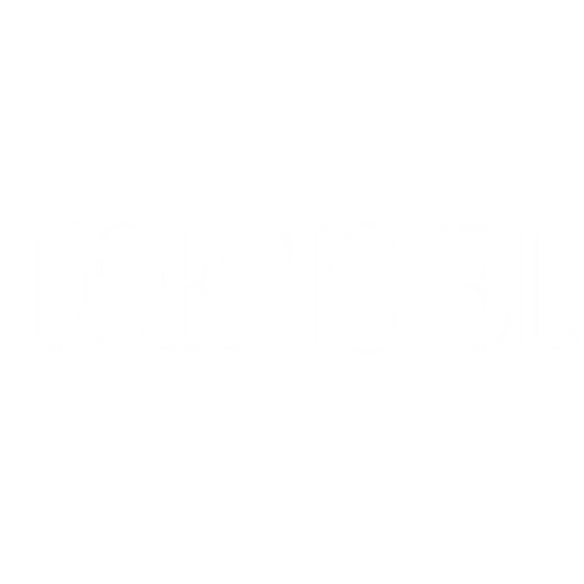 logo LOFFICIEL